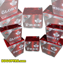 Load image into Gallery viewer, Pro Patriot Collection