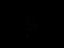 Load and play video in Gallery viewer, THE BEAST - Ultimate Finale