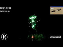 Load and play video in Gallery viewer, DFC-1203
