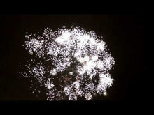 Load and play video in Gallery viewer, DFC-1202

