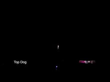 Load and play video in Gallery viewer, TOP DOG
