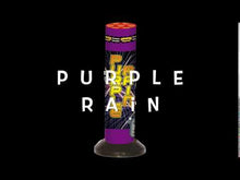 Load and play video in Gallery viewer, Purple Rain 4 Pack
