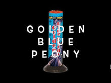 Load and play video in Gallery viewer, Golden Blue Peony
